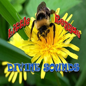 Little Reggae by Divine Sounds