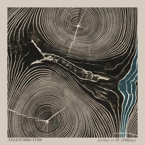 Rivers in the Wasteland by Needtobreathe